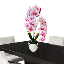 SILK PINK ORCHID