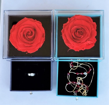 Red Infinity Rose