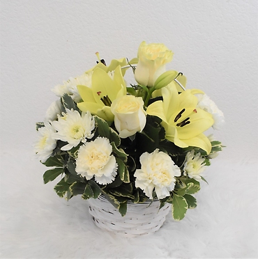White Basket