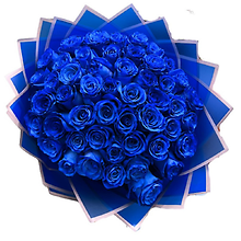50 Blue Roses