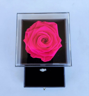 Hot Pink Infinity Rose