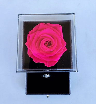 Hot Pink Infinity Rose
