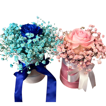 FANCY ROSE