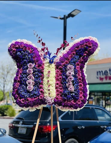 Butterfly of Life