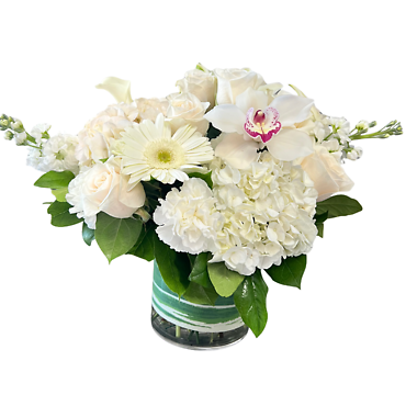 HEAVENLY ARRANGEMENT