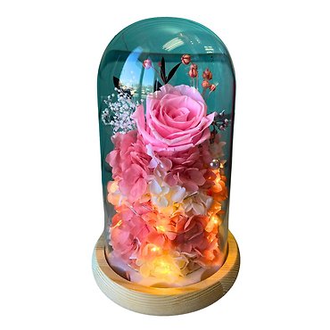 Pink Rose in Glass Dome