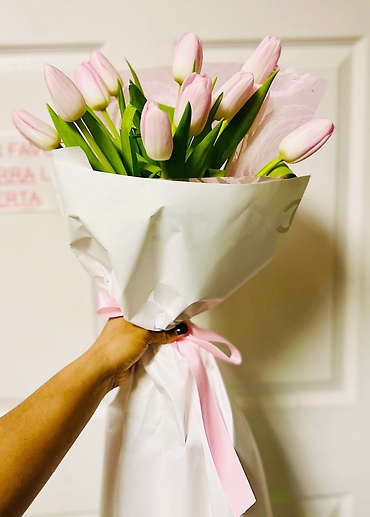 Pink Tulips