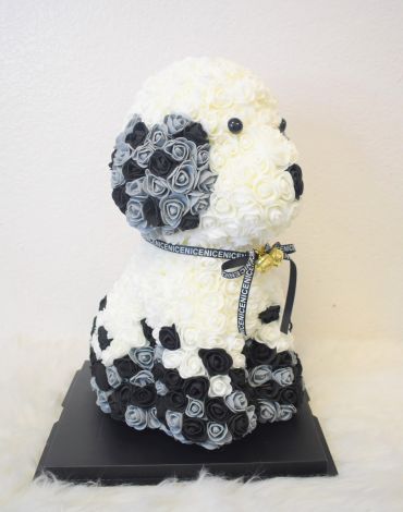 Black & White Rose Dog