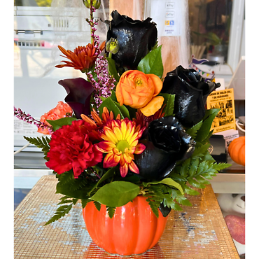Black Roses and Pumpkin