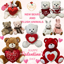 Valentine\'s Day Bears/Gift