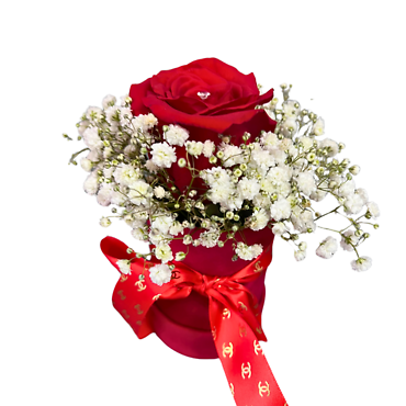 FANCY ROSE