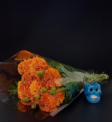 Cempasuchil-Marigold Flower
