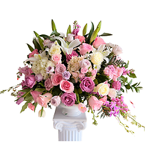 Butterfly Arrangement
